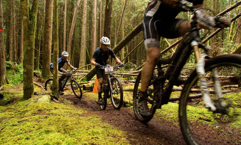 mountain bikers in the forest