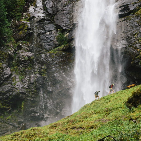 hikers hiking near a waterfall