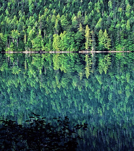 Dease Lake