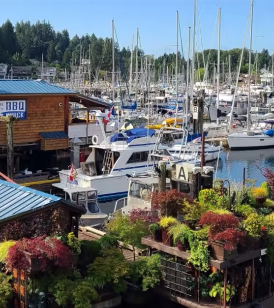Gibsons