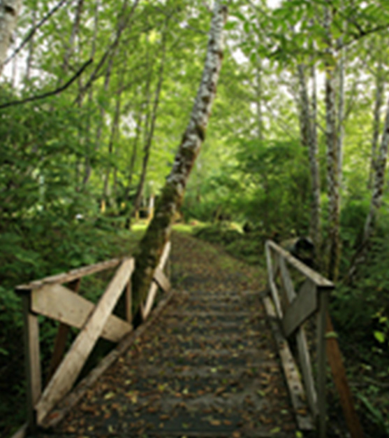 Kitkatla