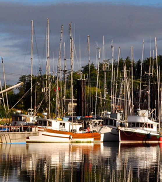 Masset