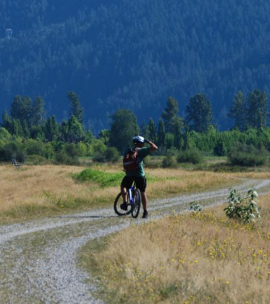 Pitt Meadows