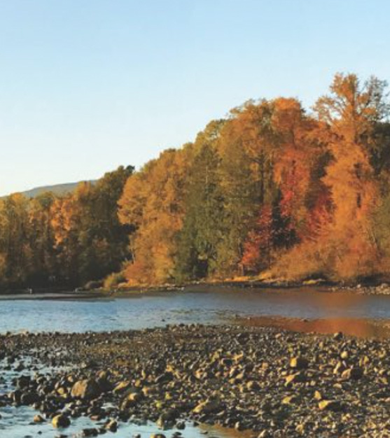 Port Moody