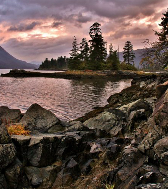 Port Alice