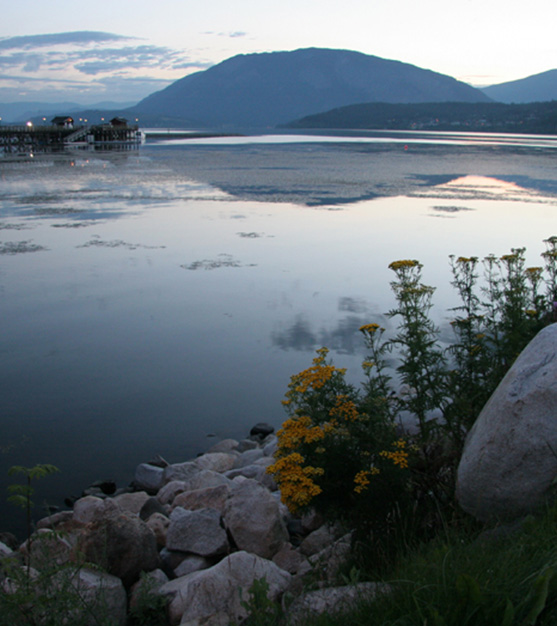 Salmon Arm