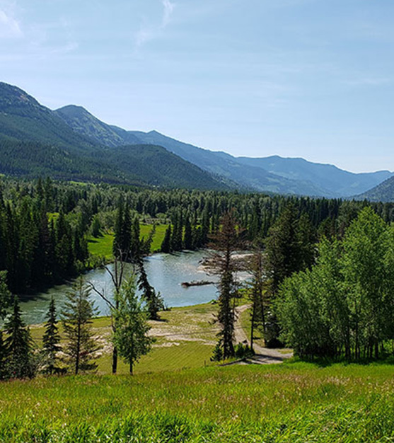 Sparwood